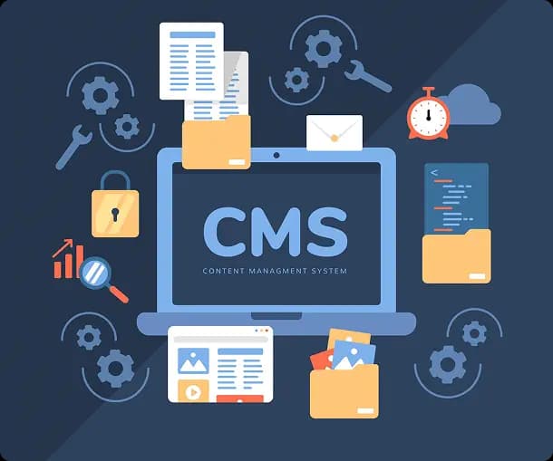 CMS Development