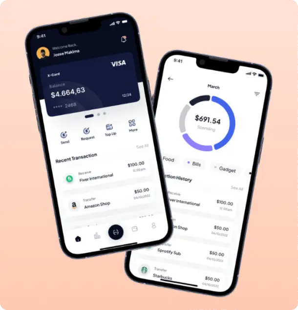 FinTech App Developer
