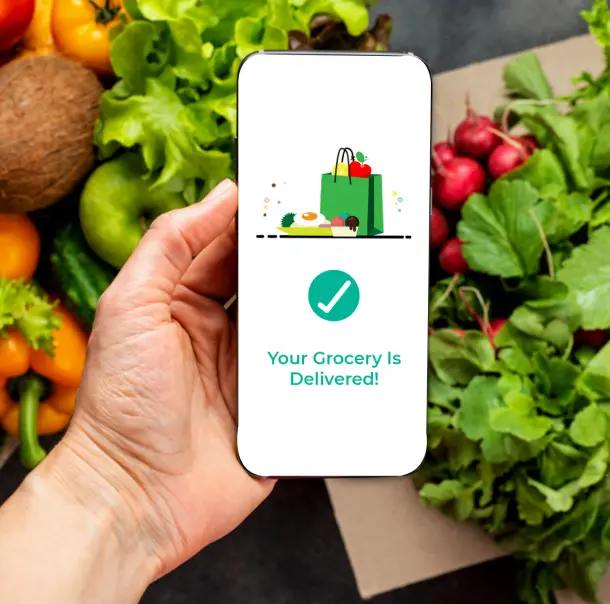 Features of Grocery Mobile App Development