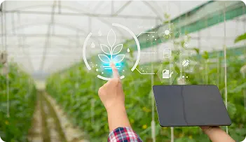  Agriculture