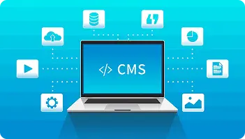 cms-development